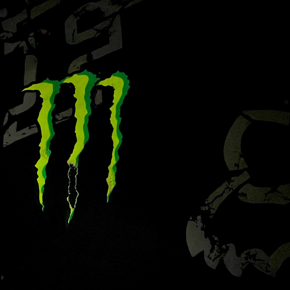 🦁🕶️🦁• ⚡️ FOX x Monster x Ricky Carmichael …👅 🕶️